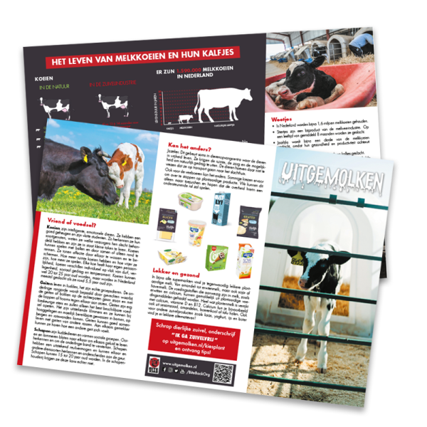 Doneer 50 flyers campagne Uitgemolken