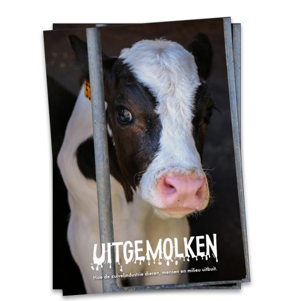Rapport Uitgemolken