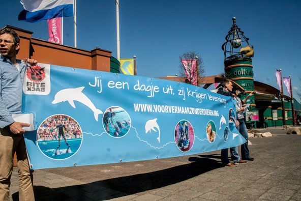 Actie dolfinarium Harderwijk