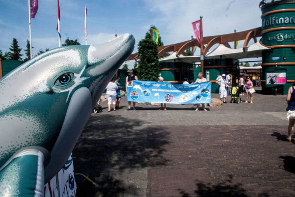 Actie voor de sluiting van dolfinarium Harderwijk