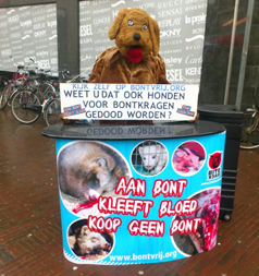 Anti-bont actie Amersfoort Bite Back Nederland