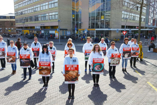 Vegan outreach actie in Leiden