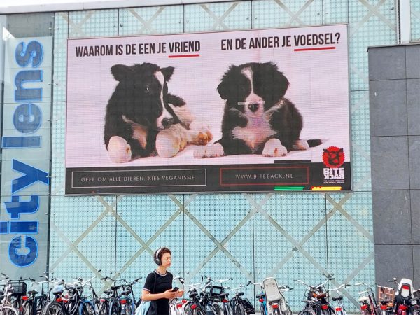 Poster 'Waarom is de een je vriend en de ander je voedsel?'