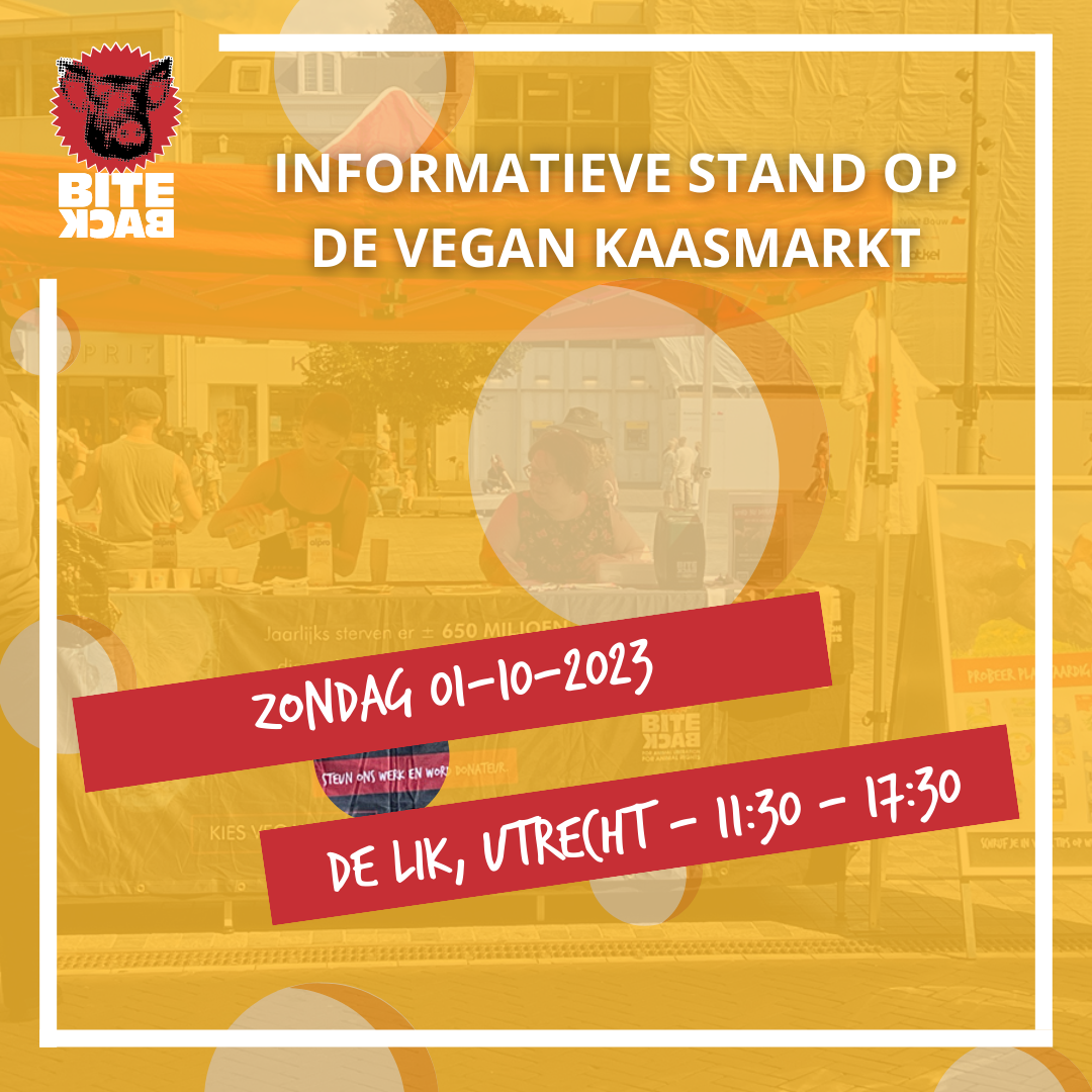 Stand op de vegan kaasmarkt