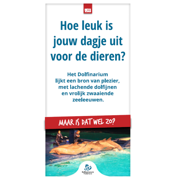 Dolfinarium-flyer (25 stuks)