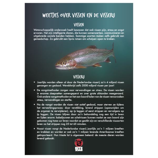 Vissen-flyer (per 25 stuks)