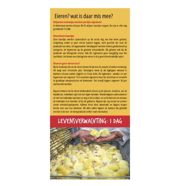 Ei-flyer (per 25 stuks)