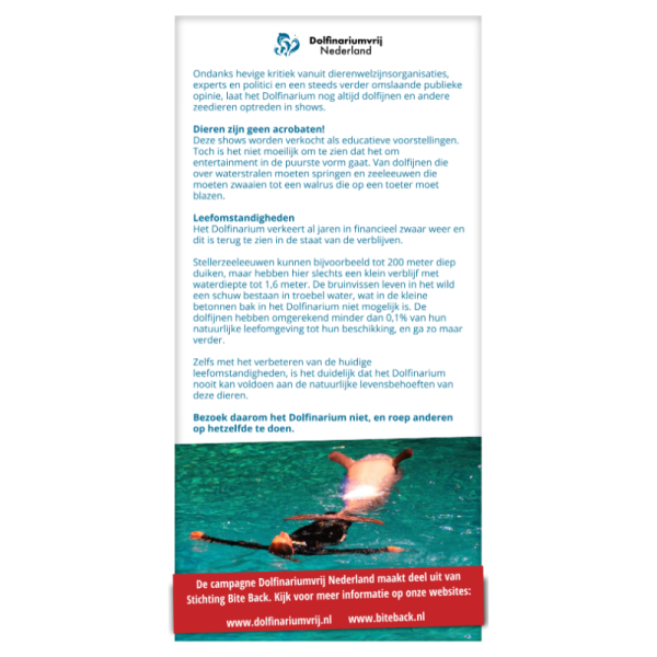 Dolfinarium-flyer (25 stuks) - Image 2