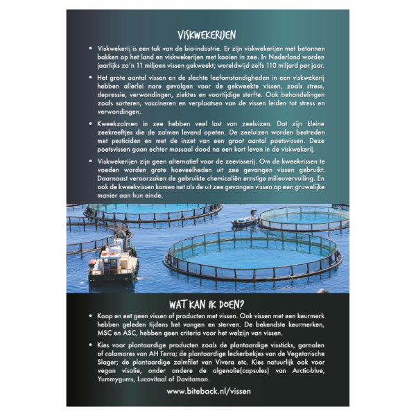 Vissen-flyer (per 25 stuks) - Image 2
