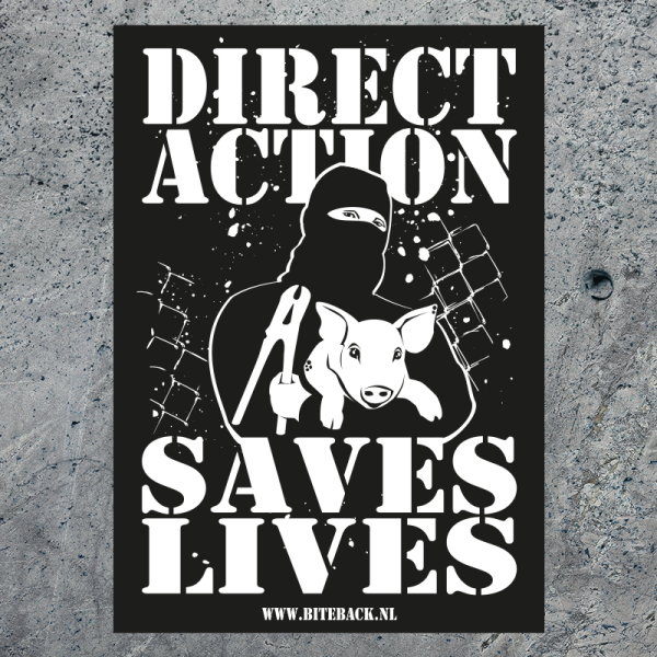Sticker 'Direct Action Saves Lives'