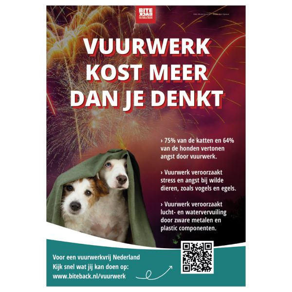 Poster 'Vuurwerk kost meer dan je denkt'