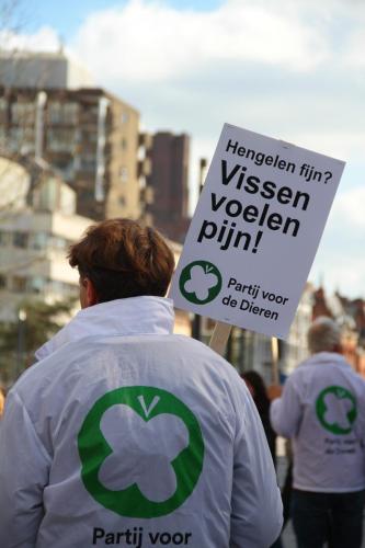 Vissen voelen pijn!