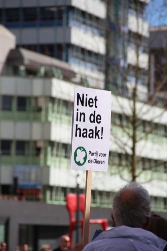 Niet in de haak! 