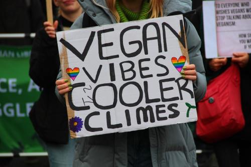 Vegan vibes - Cooler Climes