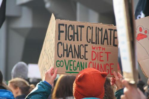 Fight climate change - go vegan