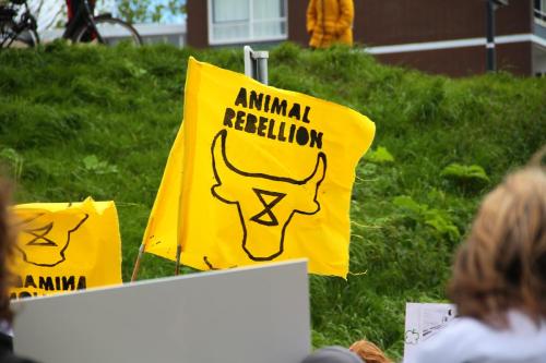 Animal Rebellion