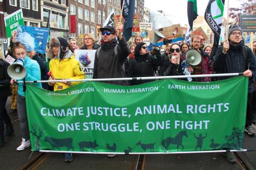 Kopspandoek bij het Vegan Blok