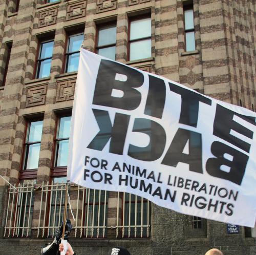 Bite Back: for Animal Liberation - for Human Rights